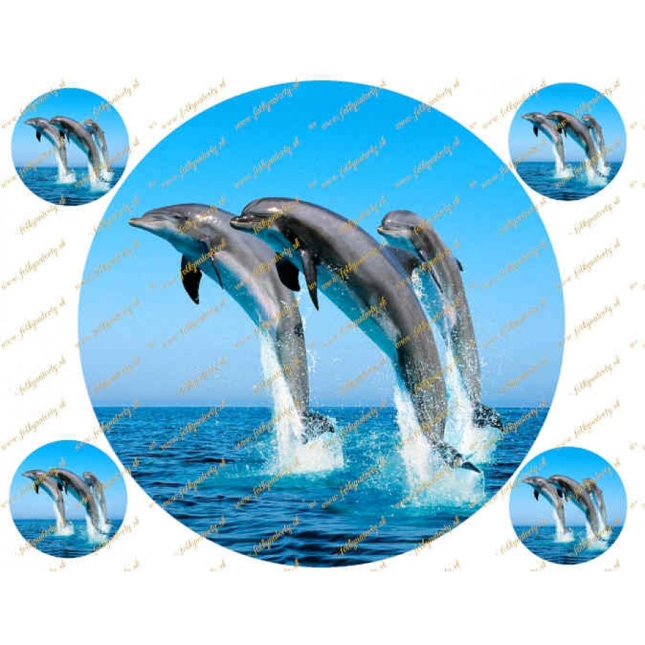 Jedlý okrúhly obrázok na tortu delfíny